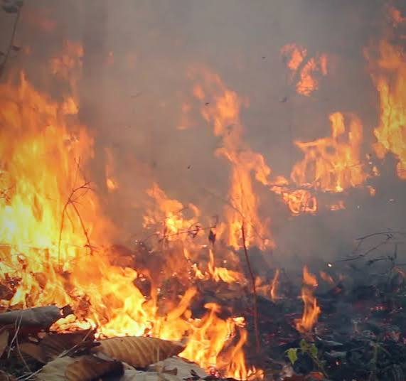Las Peñas de Riglos Wildfire Today: Massive Huesca Blaze Surpasses 15,000 Hectares