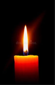 Mason Fercovic-Ortegel Drowning Accident Lake Anna VA Death Obituary: Spotsylvania Firefighter Dies in Lake Anna Drowning